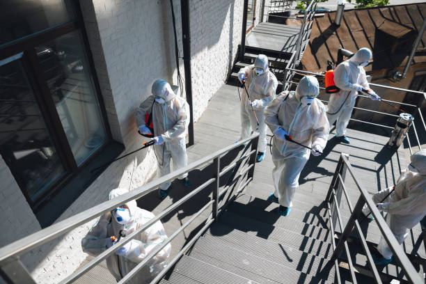 Best Mold Prevention Services  in Crittenden, KY