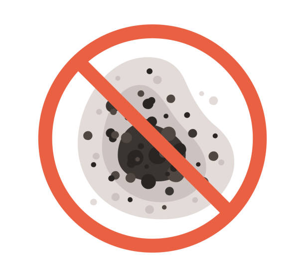 Best Biohazard Mold Removal  in Crittenden, KY