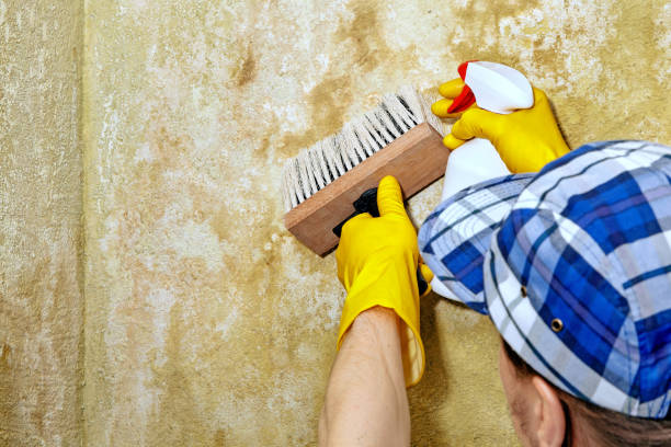 Best Air Quality Testing for Mold Spores  in Crittenden, KY
