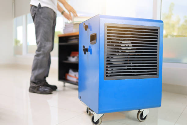 Crittenden, KY Mold Removal Company
