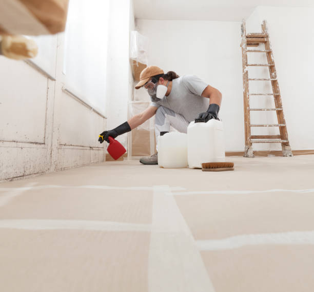 Best Attic Mold Removal  in Crittenden, KY