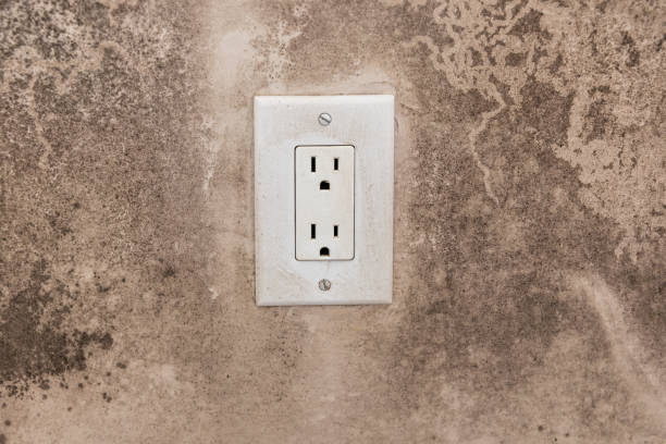 Best Emergency Mold Remediation  in Crittenden, KY